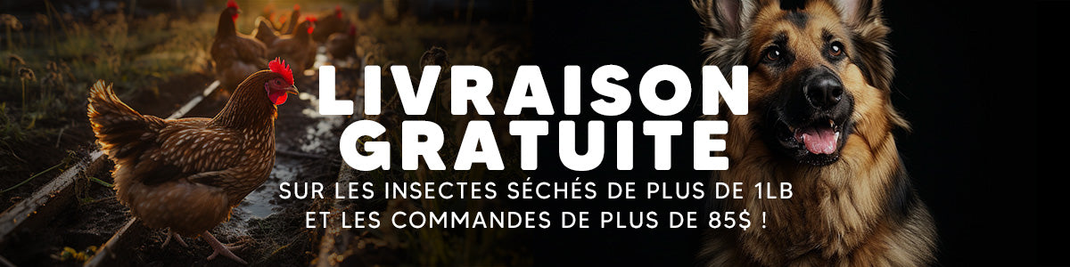 Premium Feeders - Os de chien, Boîte à Mastication, friandises pour chiens, friandises pour chats, os en cuir brut, vers de farine, larves de mouche soldat noire