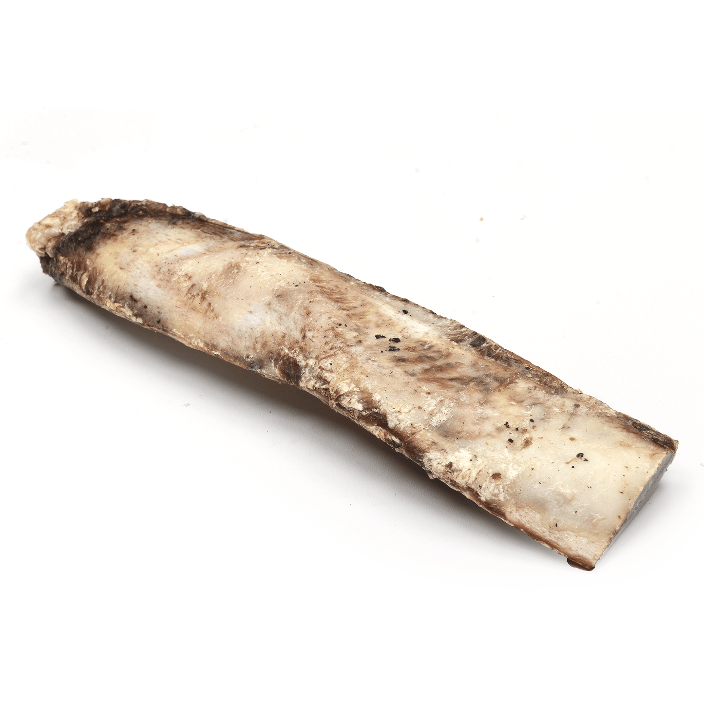 Beef Rib - Premium Feeders - Premium Feeders - Dog Treats