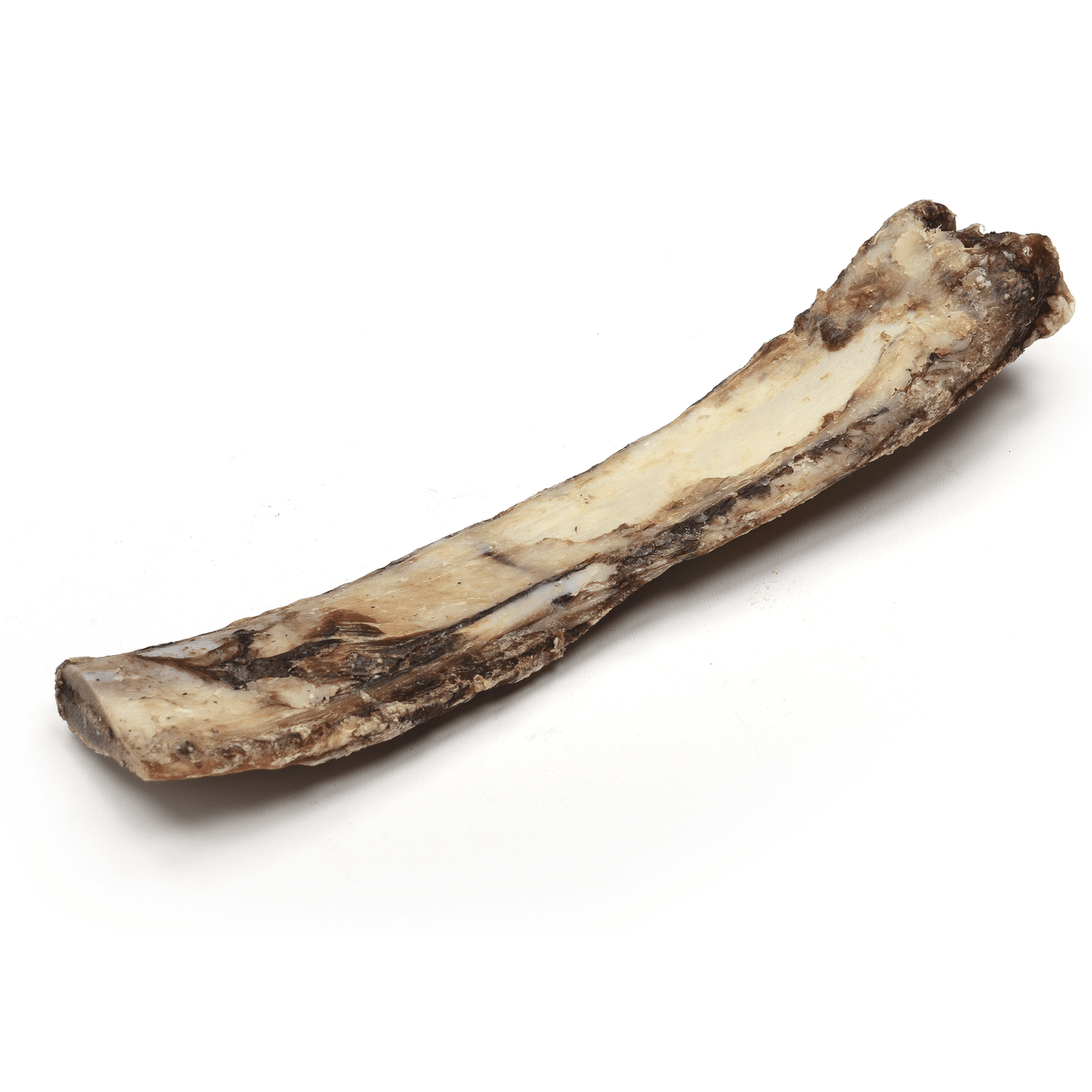 Beef Rib - Premium Feeders - Premium Feeders - Dog Treats