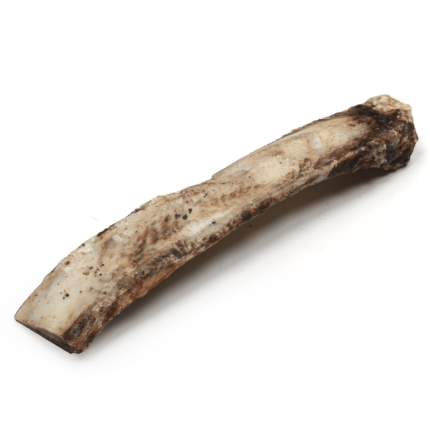 Beef Rib - Premium Feeders - Premium Feeders - Dog Treats