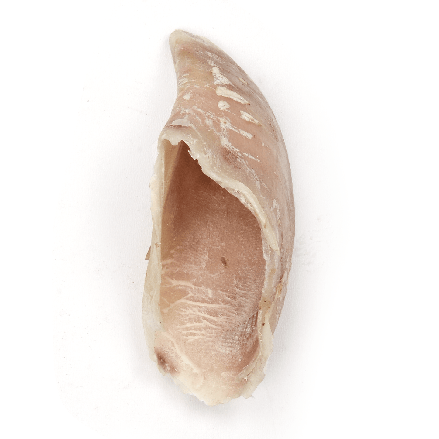 Cow Hoof - Premium Feeders - Premium Feeders - Dog Treats