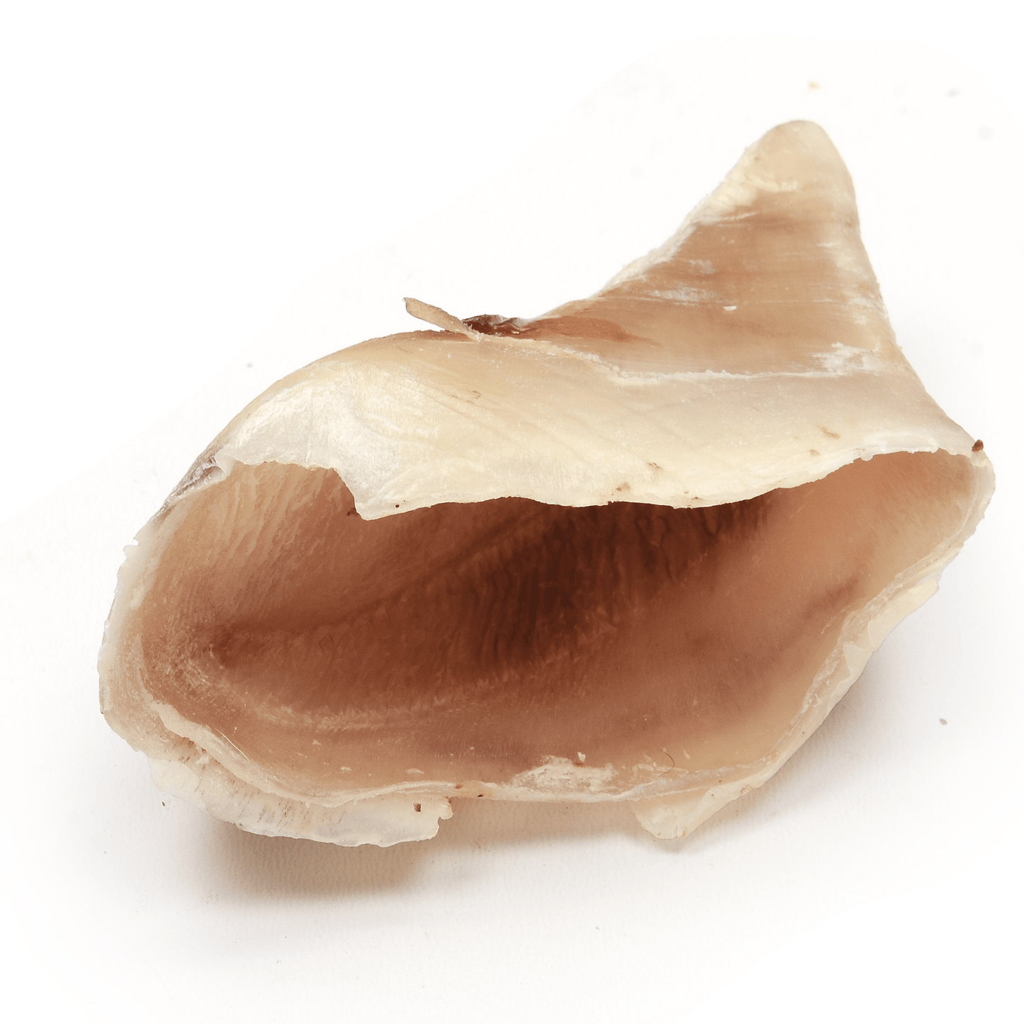 Cow Hoof - Premium Feeders - Premium Feeders - Dog Treats