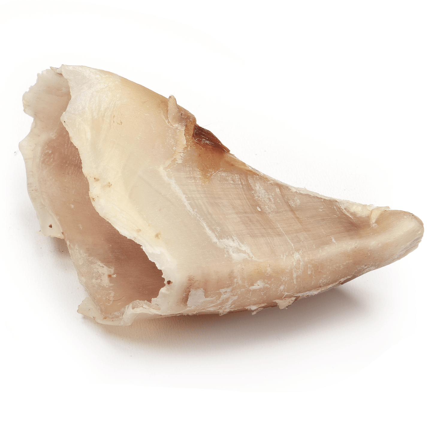 Cow Hoof - Premium Feeders - Premium Feeders - Dog Treats