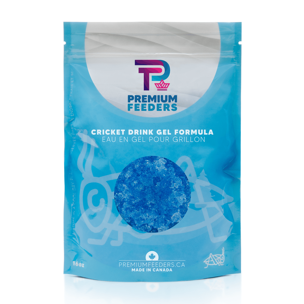 Cricket Drink - Premium Feeders - Premium Feeders - Reptile