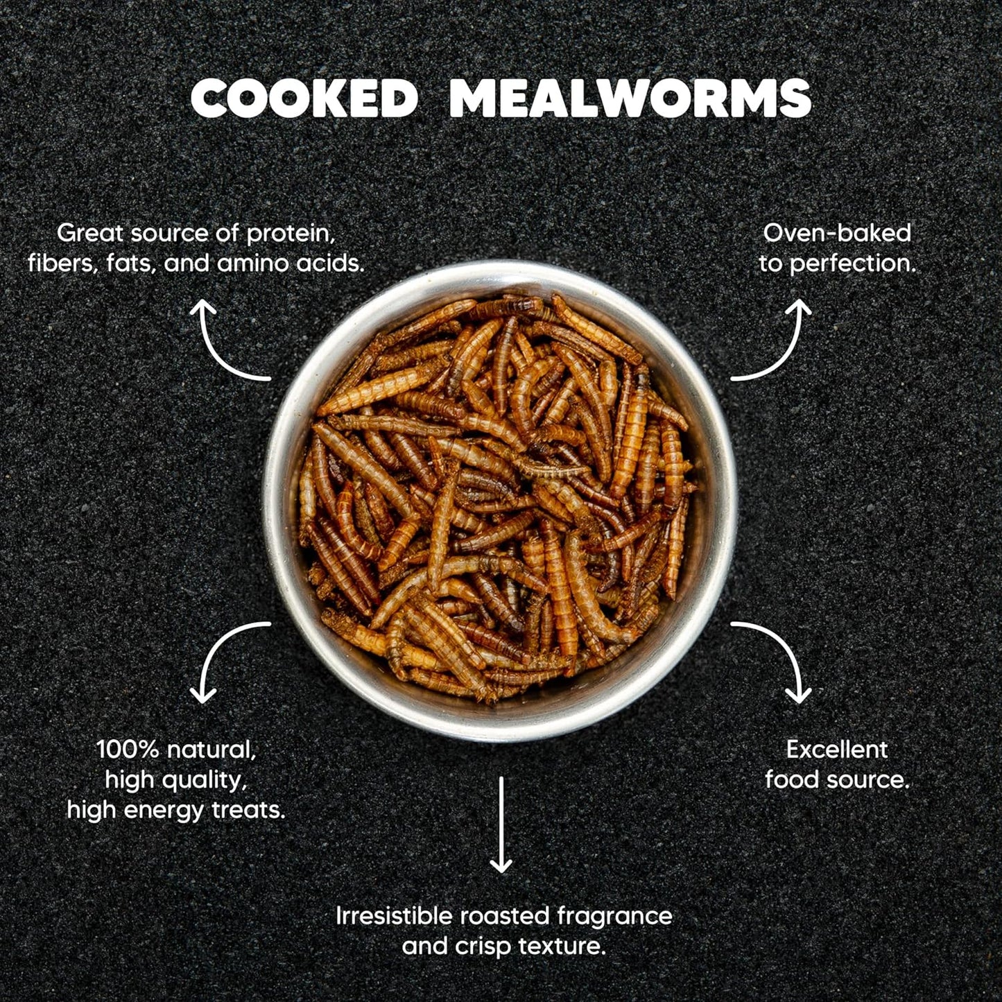 Dried Mealworms – 1lb - Premium Feeders - Premium Feeders - Mealworms