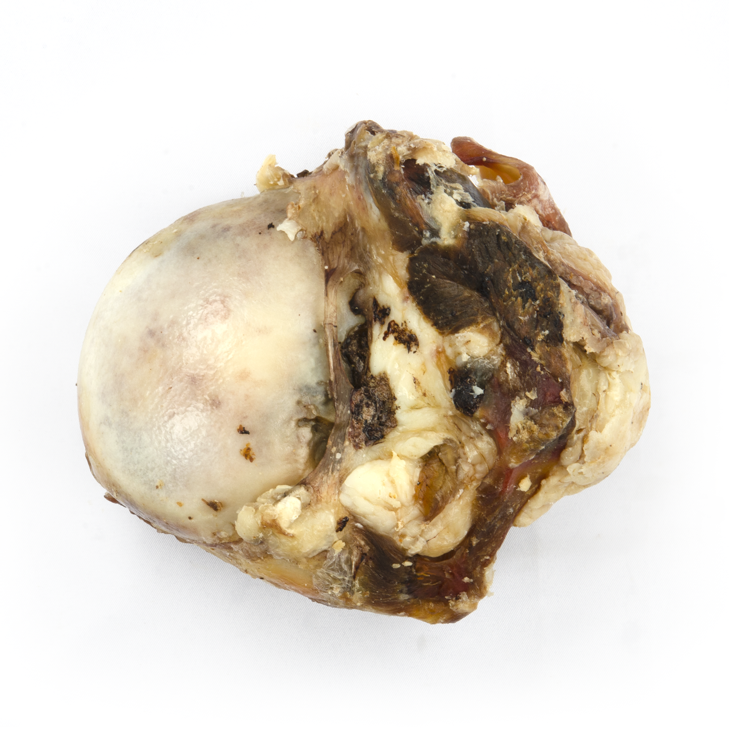 Grand Rotule De Boeuf