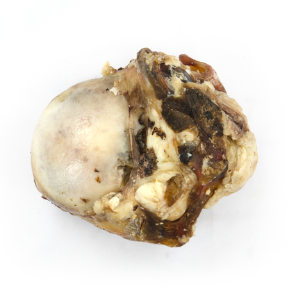 Grand Rotule De Boeuf