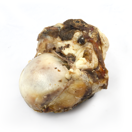 Large Beef Knuckle Bone