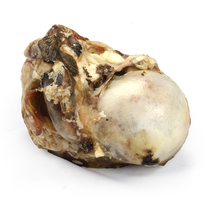 Grand Rotule De Boeuf