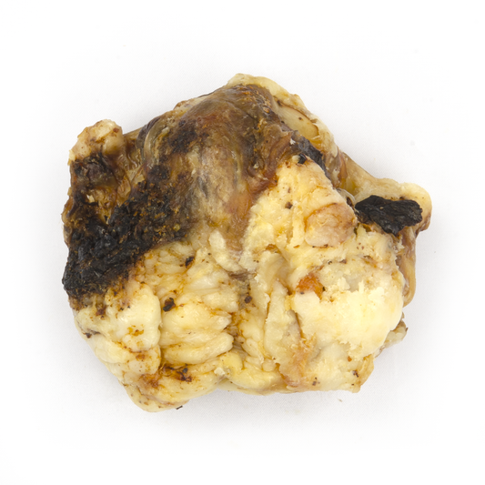 Small Beef Knuckle Bone