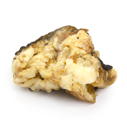 Small Beef Knuckle Bone