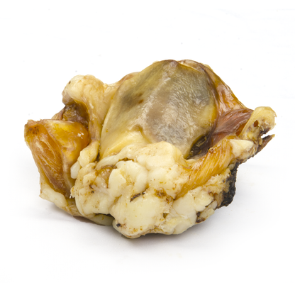 Small Beef Knuckle Bone