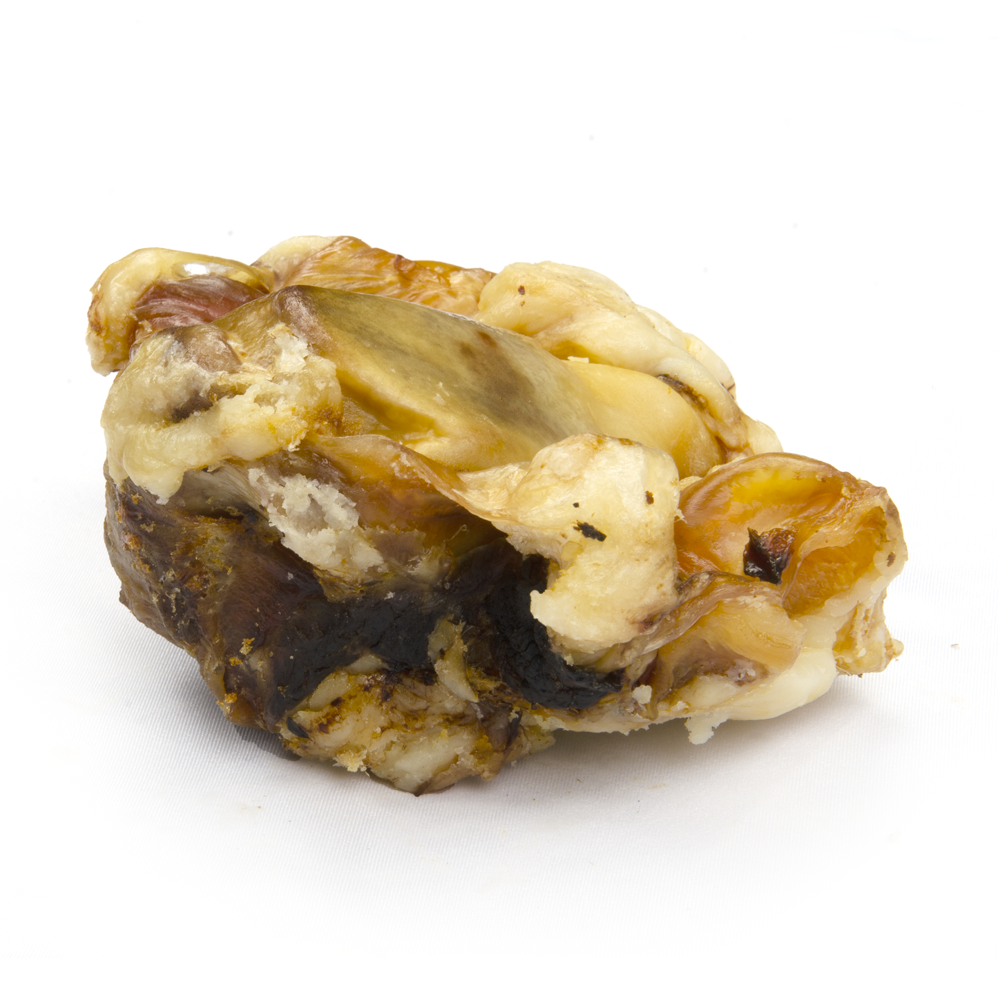 Small Beef Knuckle Bone