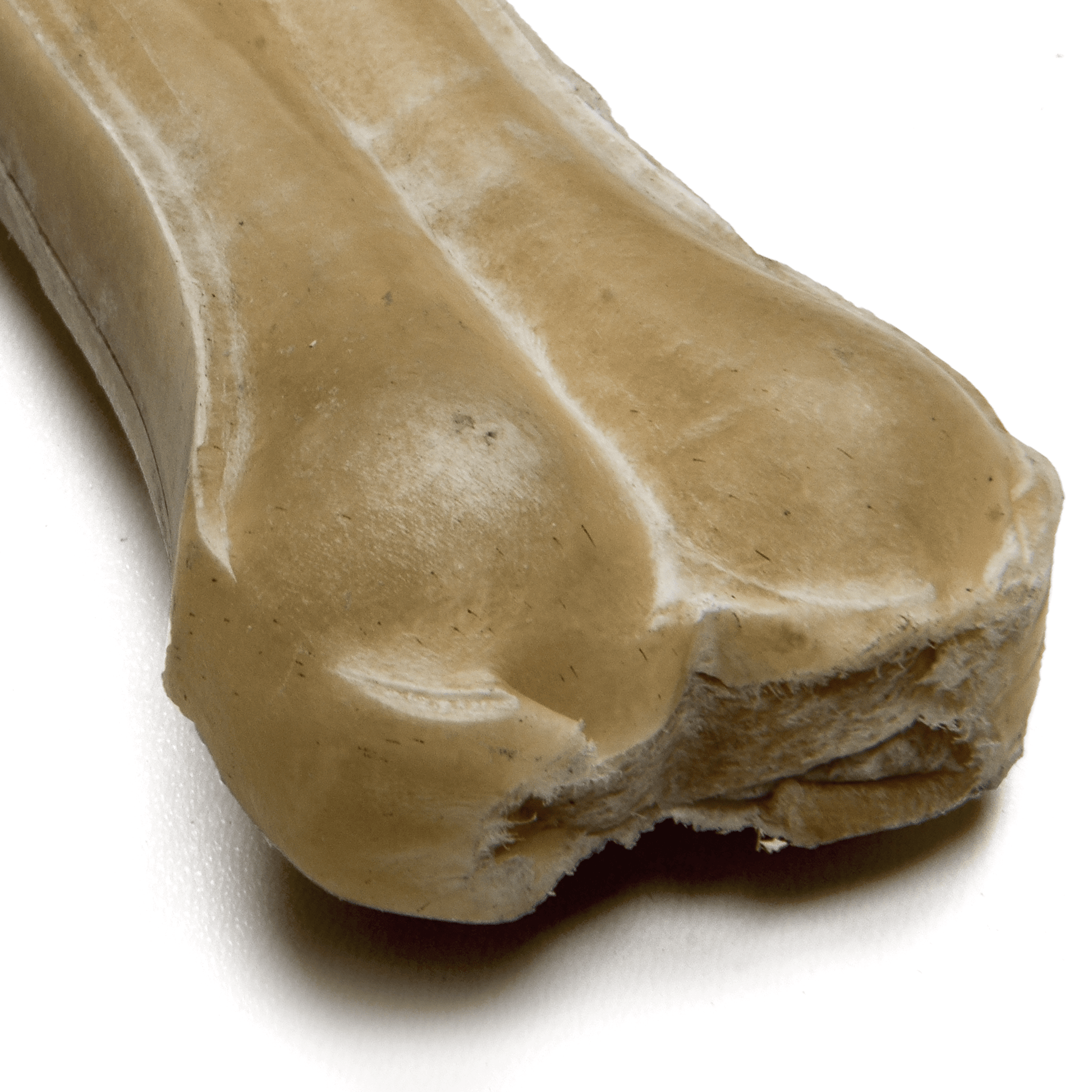 8” Rawhide Pressed Bone - Premium Feeders - Premium Feeders - Dog Treats