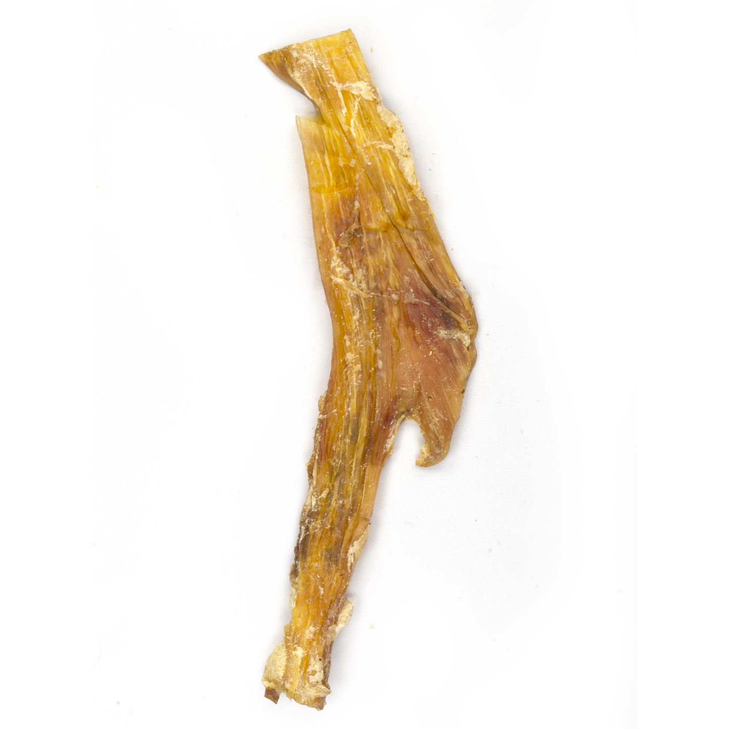 Beef tendon 8-12 inch natural dog chew - smoked collagen treat made in
Canada - Premium Feeders