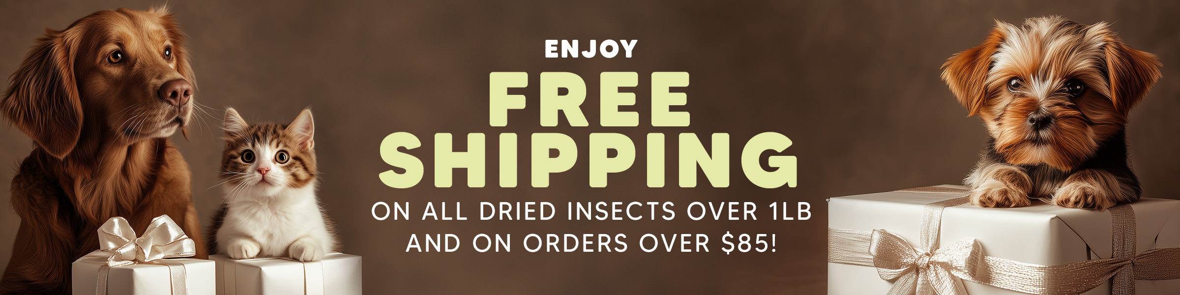 Premium Feeders - Dog Bones, Bark Box, Dog Treats, Cat Treats, Rawhide Bones, Mealworms, Black Soldier Fly Larvae