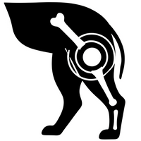 Joint & Mobility Support