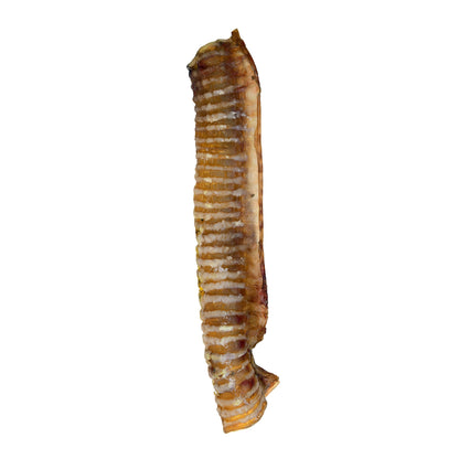 Beef Trachea - Premium Feeders - Premium Feeders - Dog Treats