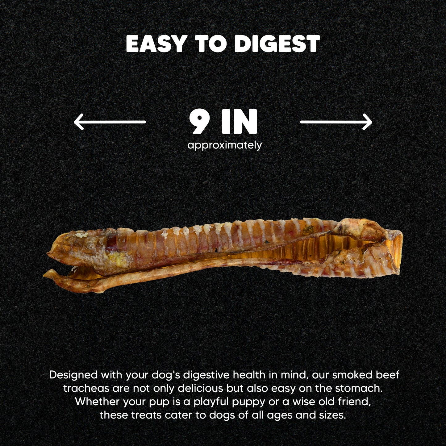 Beef Trachea - Premium Feeders - Premium Feeders - Dog Treats