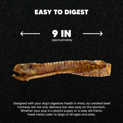 Beef Trachea - Premium Feeders - Premium Feeders - Dog Treats