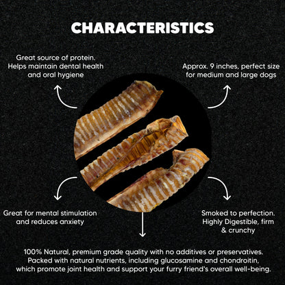 Beef Trachea - Premium Feeders - Premium Feeders - Dog Treats