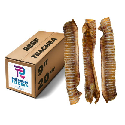 Beef Trachea - Premium Feeders - Premium Feeders - Dog Treats