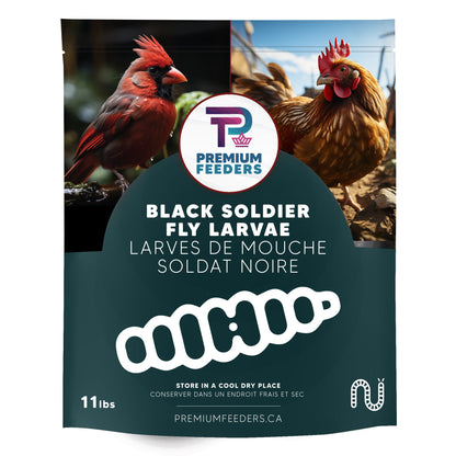 Dried Black Soldier Fly Larvae - 11lb - Premium Feeders - Premium Feeders - Black Soldier Fly Larvae