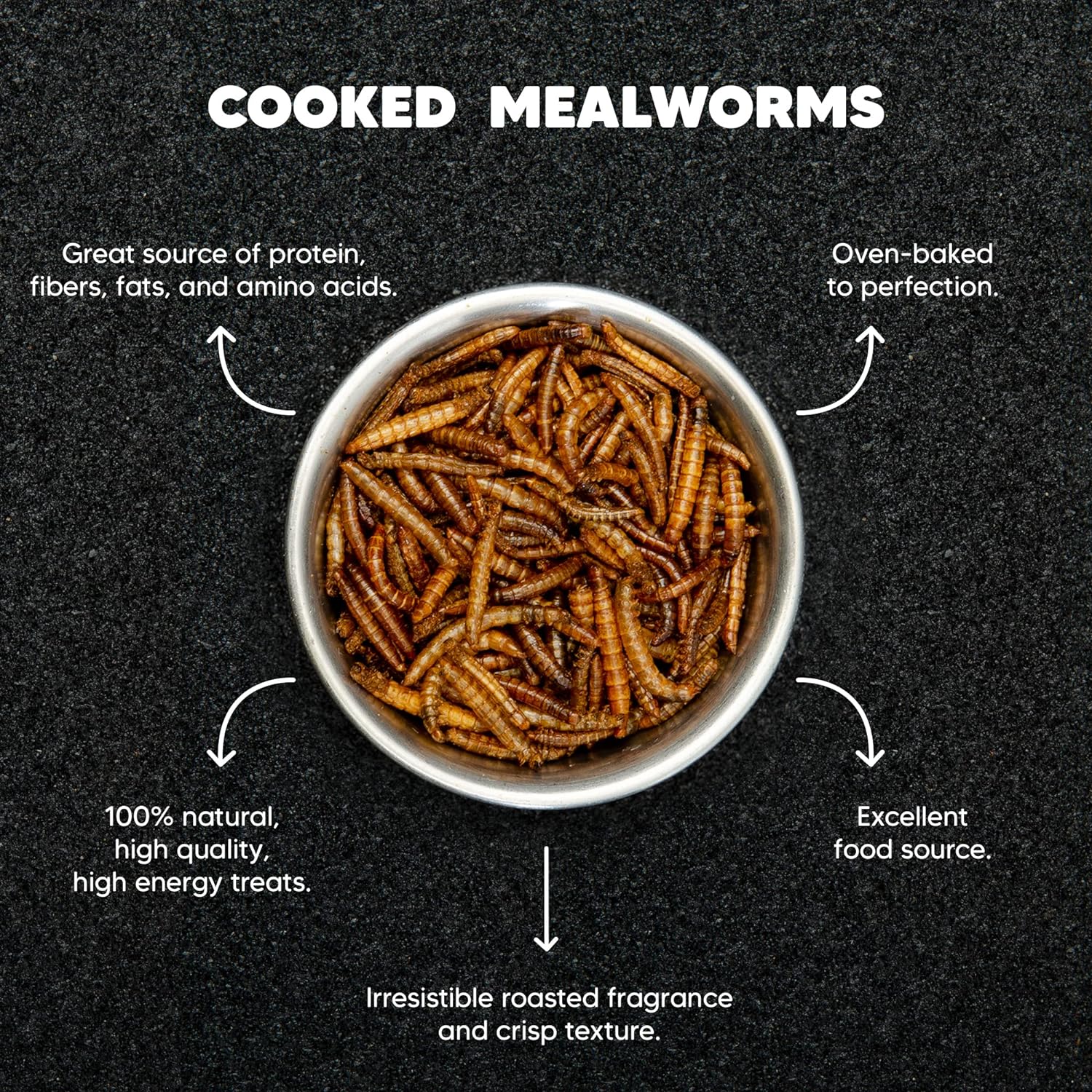 Dried Mealworms – 1lb - Premium Feeders - Premium Feeders - Mealworms