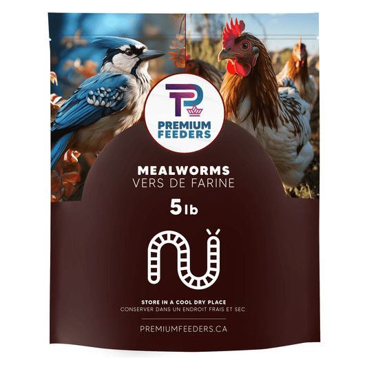 Dried Mealworms – 5lb - Premium Feeders - Premium Feeders - Mealworms