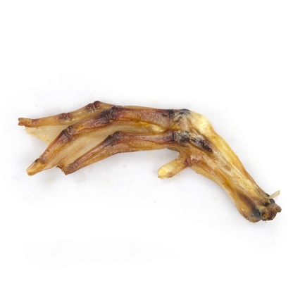 Dried duck feet for dogs - natural single-ingredient treat with lucosamine - Premium Feeders