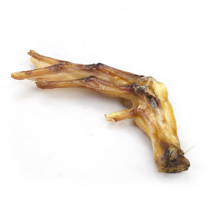 Dried duck feet for dogs - natural single-ingredient treat with lucosamine - Premium Feeders
