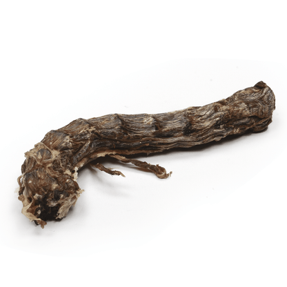 Goose Neck - Premium Feeders - Premium Feeders - Dog Treats