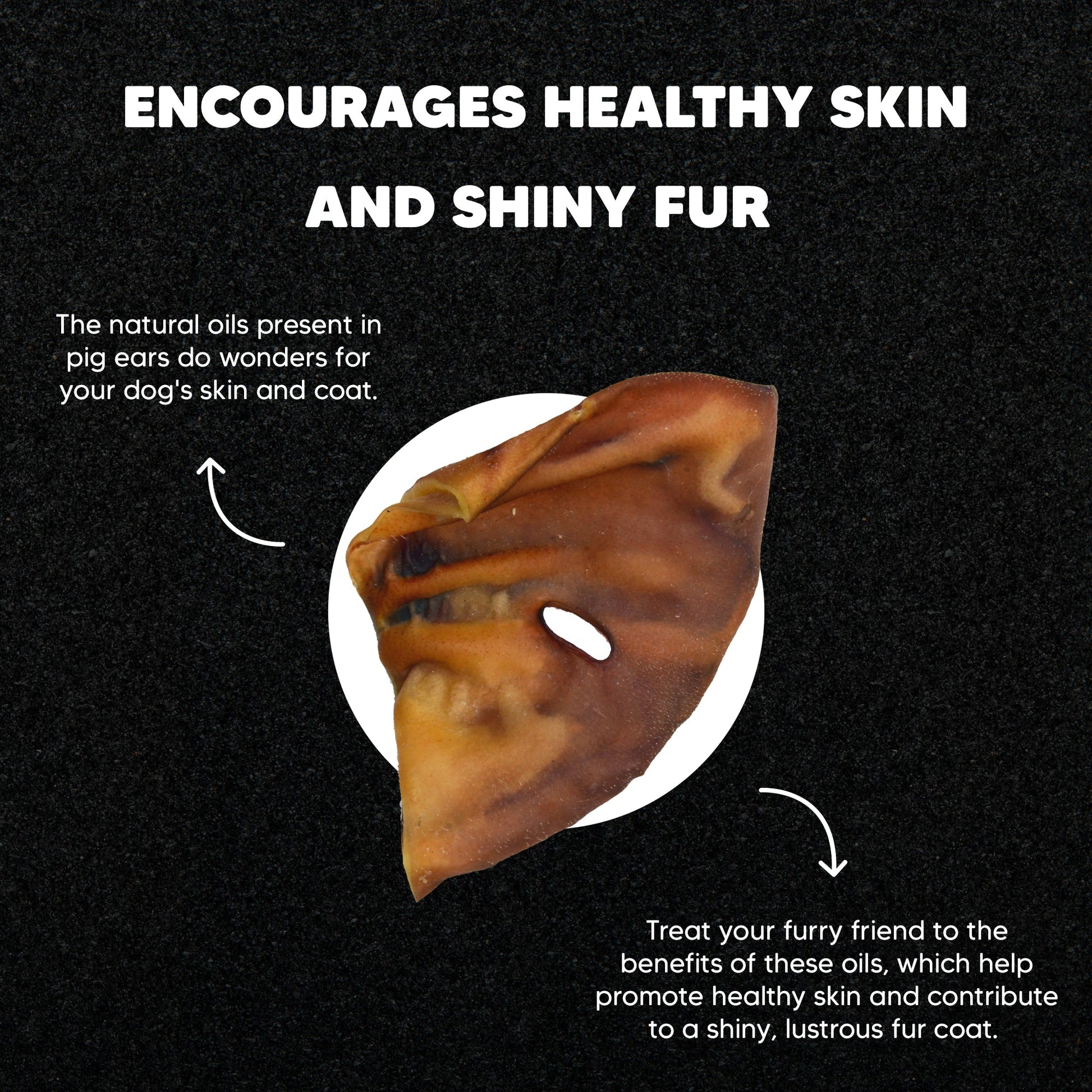Pig Ear - Large - Premium Feeders - Premium Feeders - Dog Treats