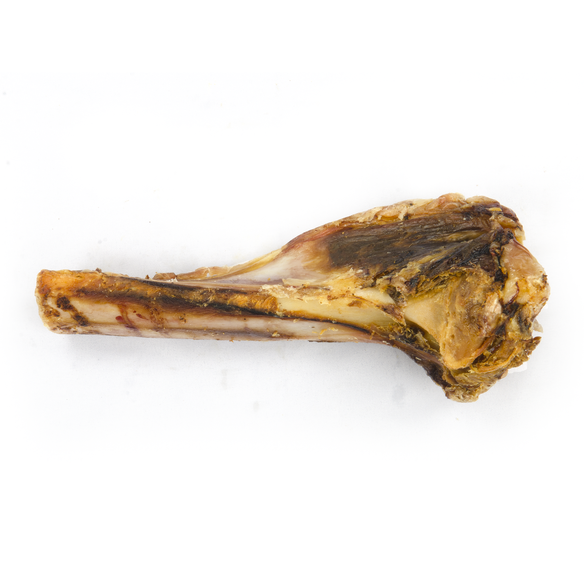 Pork Tibia Dog bone treat on a white background