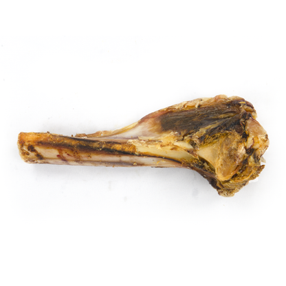Pork Tibia Dog bone treat on a white background