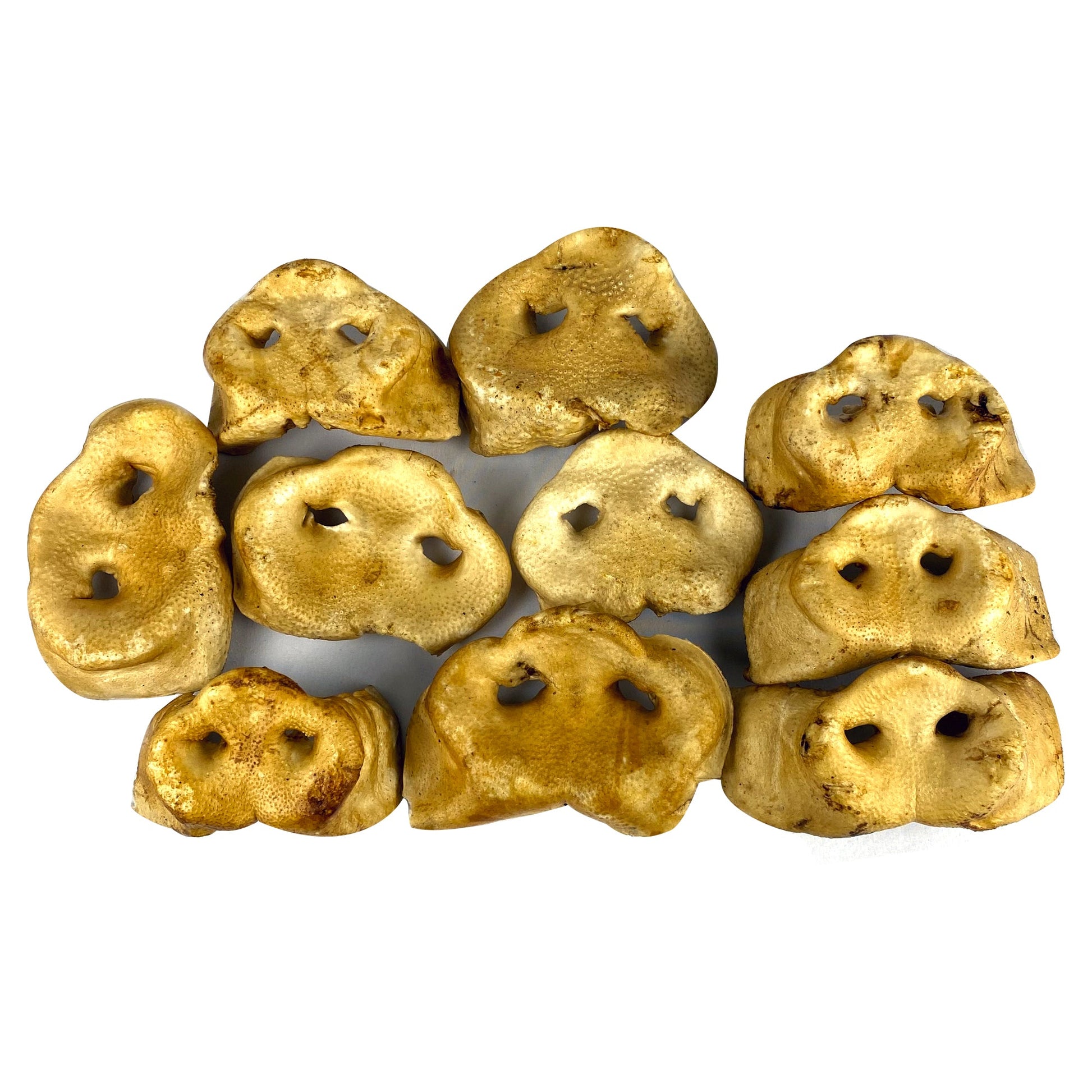 Smoked Pig Snouts - Premium Feeders - Premium Feeders - Dog Treats