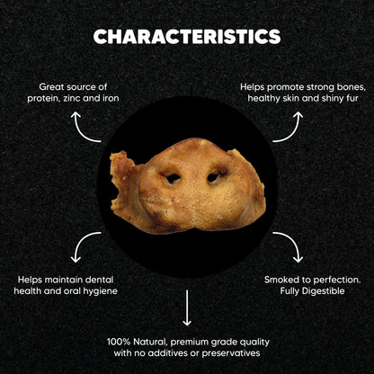 Smoked Pig Snouts - Premium Feeders - Premium Feeders - Dog Treats
