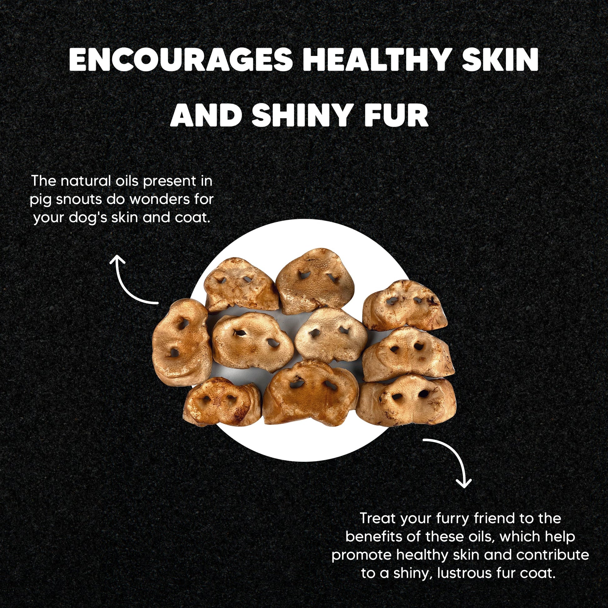 Smoked Pig Snouts - Premium Feeders - Premium Feeders - Dog Treats