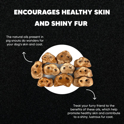 Smoked Pig Snouts - Premium Feeders - Premium Feeders - Dog Treats