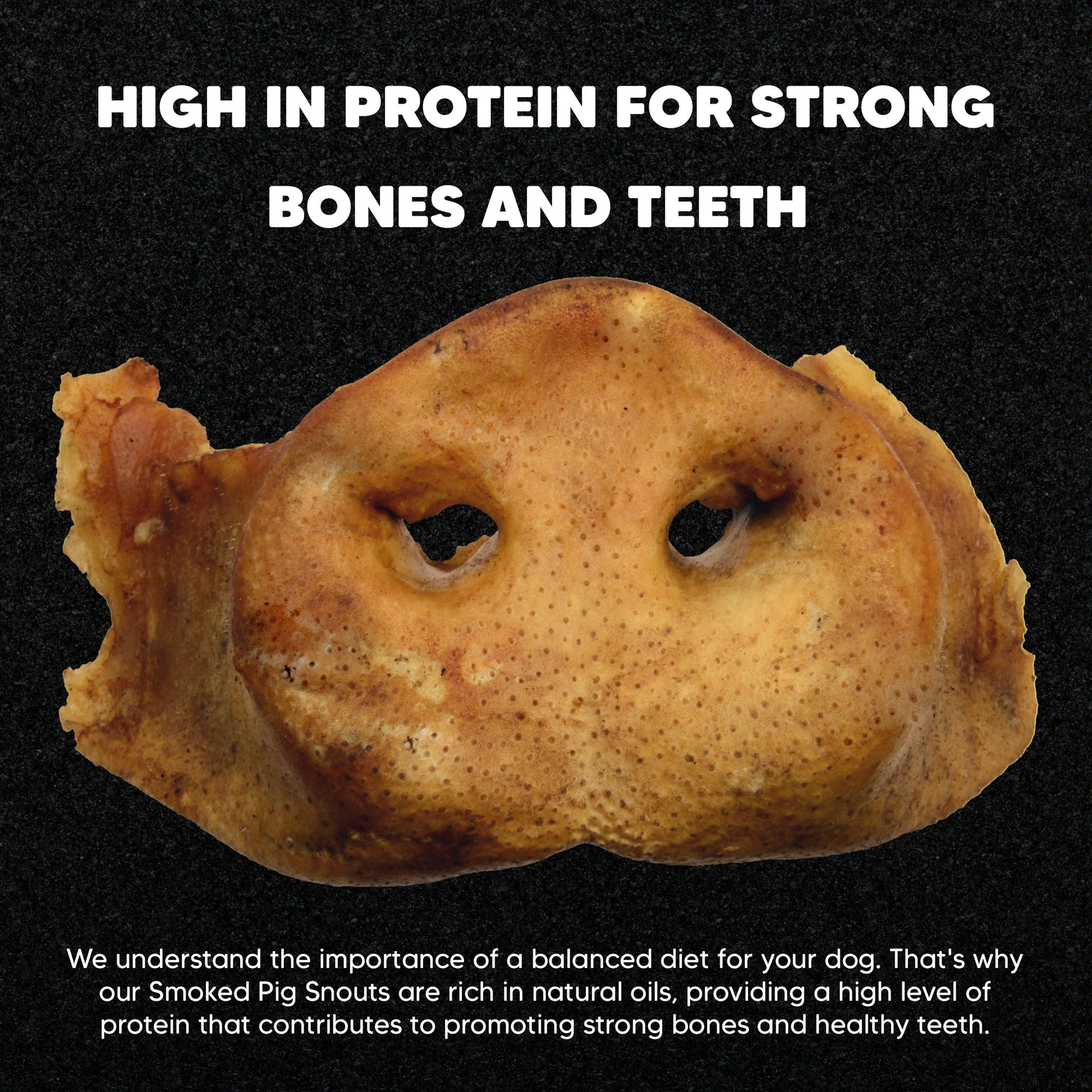 Smoked Pig Snouts - Premium Feeders - Premium Feeders - Dog Treats