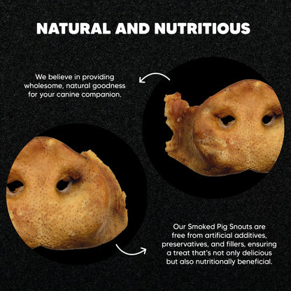 Smoked Pig Snouts - Premium Feeders - Premium Feeders - Dog Treats