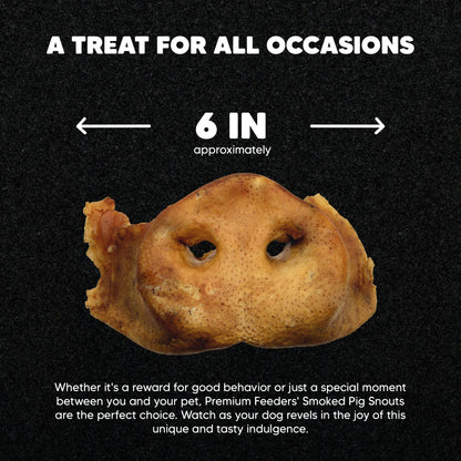 Smoked Pig Snouts - Premium Feeders - Premium Feeders - Dog Treats