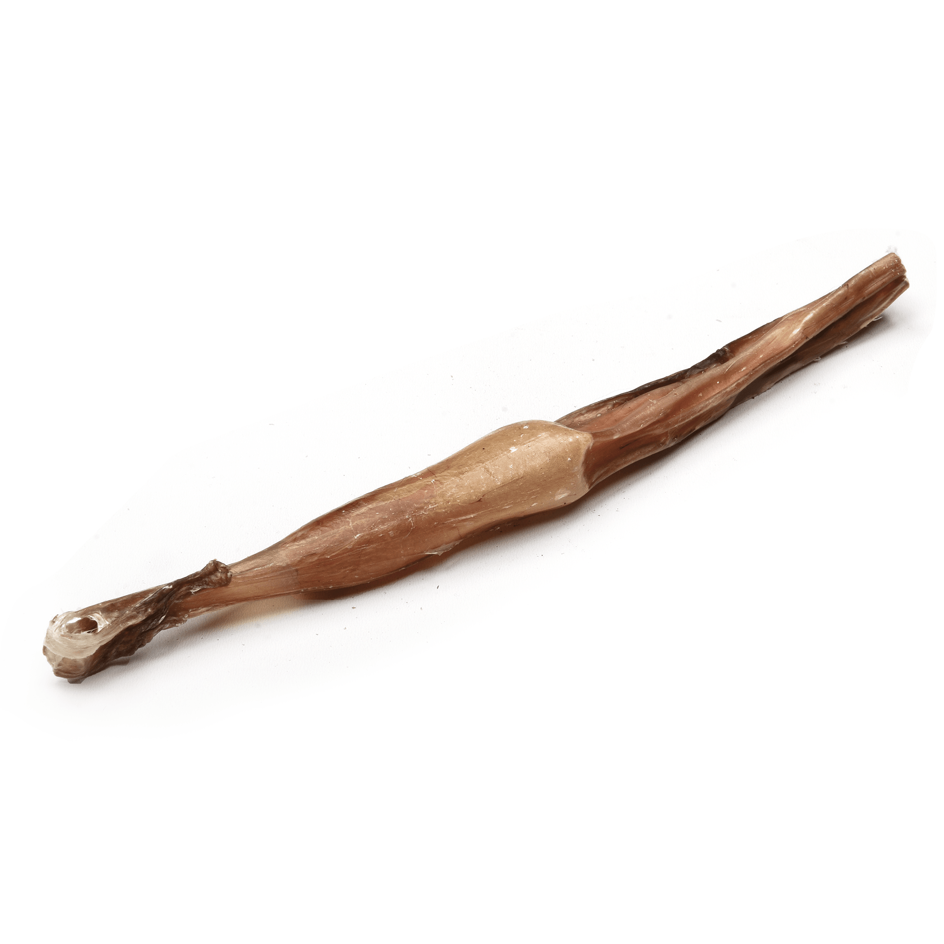 Veal Bully Sticks 9" - Premium Feeders - Premium Feeders - Dog Treats