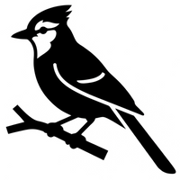 Oiseaux sauvages et domestiques